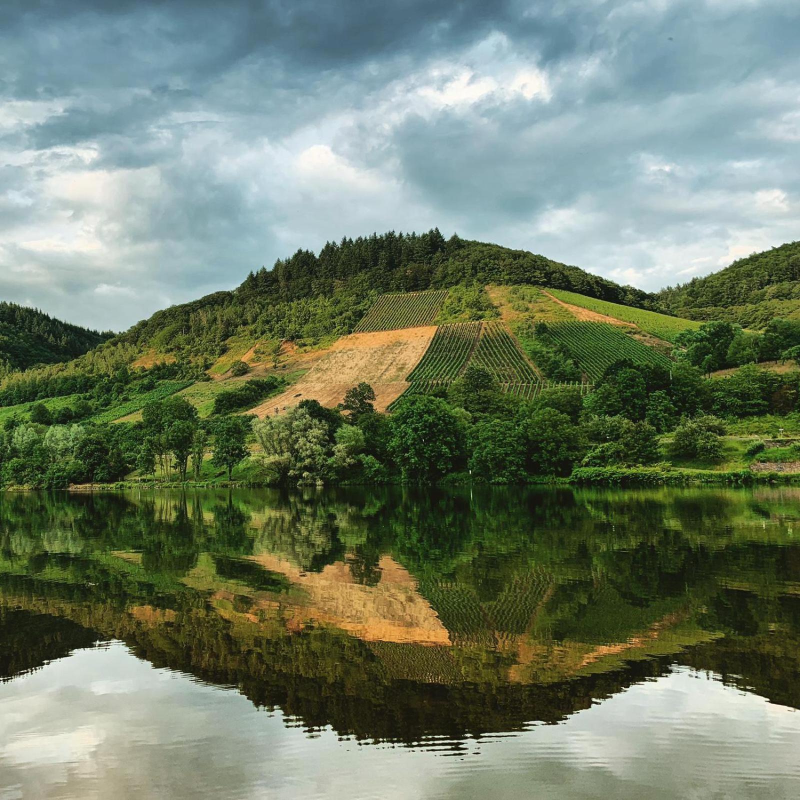 Apartmán Moselglueck Sankt Aldegund Exteriér fotografie